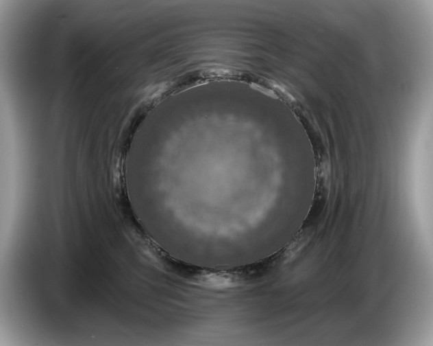 X0000086730423200704271634