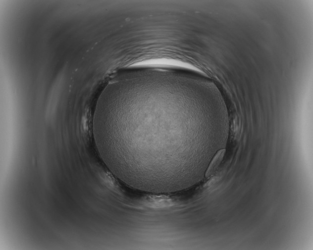 X0000086730424200704271634