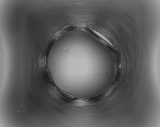 X0000086730425200704271634