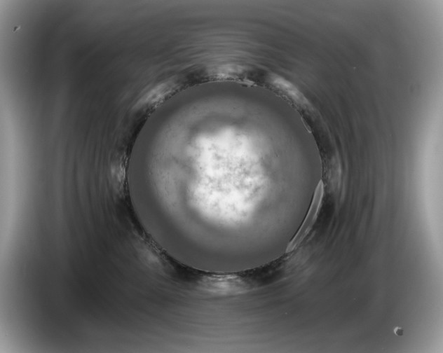 X0000086730427200704271634