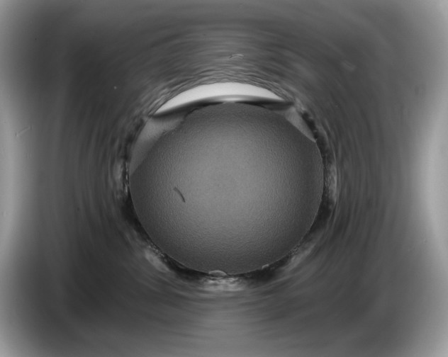 X0000086730428200704271634