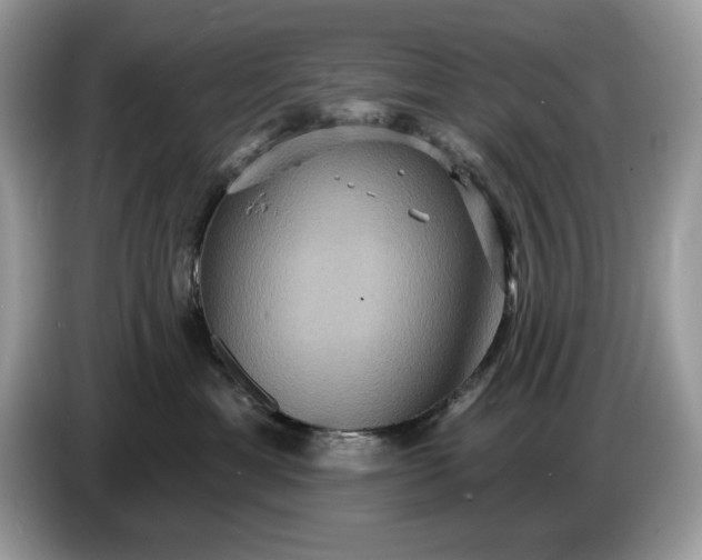 X0000086730429200704271634