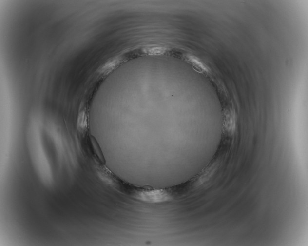 X0000086730431200704271634