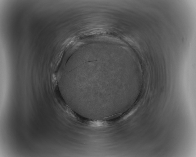 X0000086730432200704271634