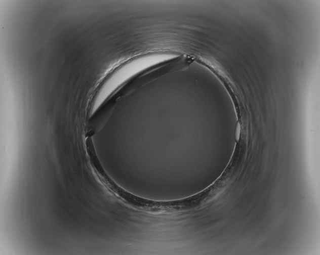 X0000086730434200704271633