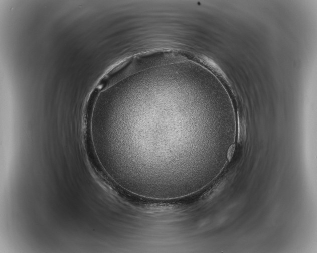 X0000086730435200704271633