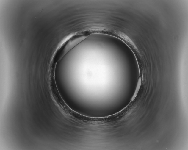 X0000086730436200704271633