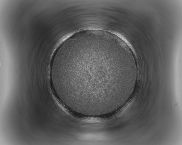 X0000086730437200704271633