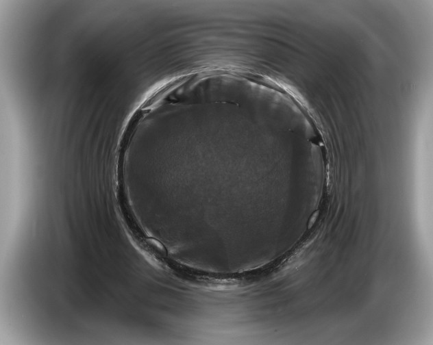 X0000086730438200704271633