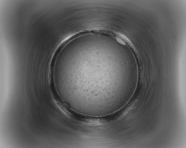 X0000086730439200704271633