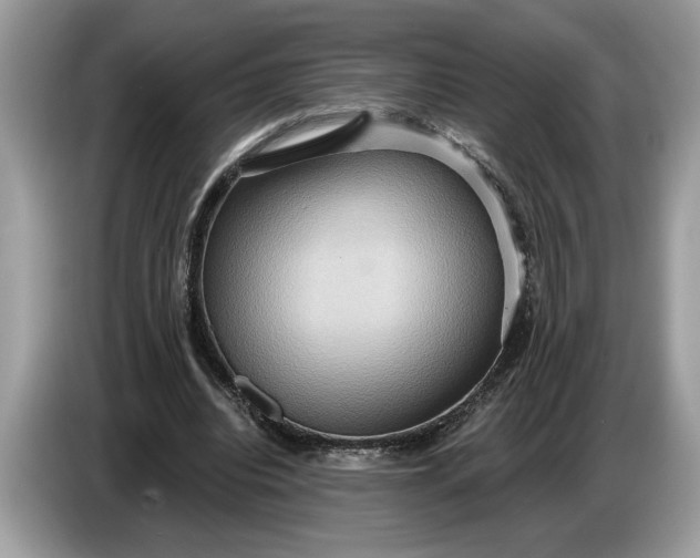 X0000086730440200704271634