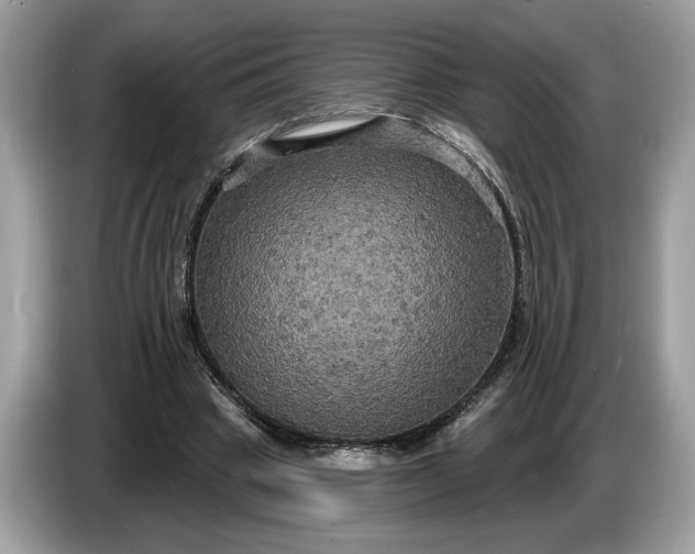 X0000086730441200704271634