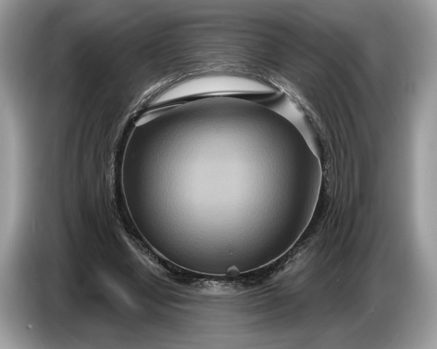 X0000086730442200704271634