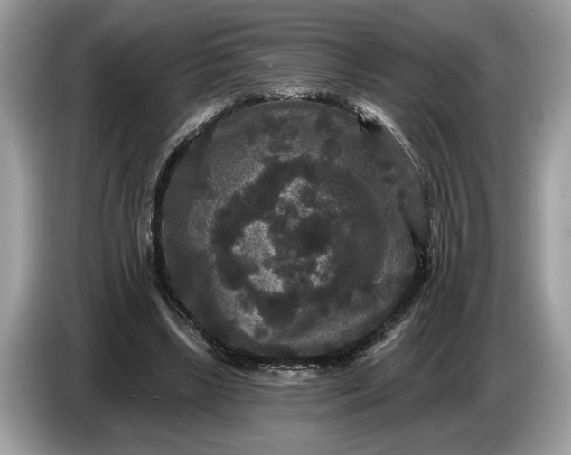 X0000086730443200704271634