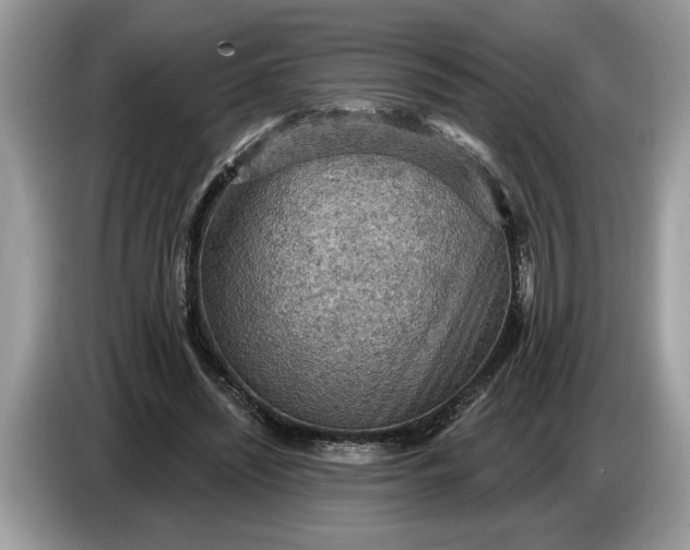 X0000086730444200704271634