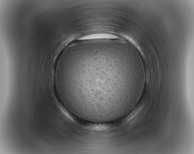 X0000086730445200704271634