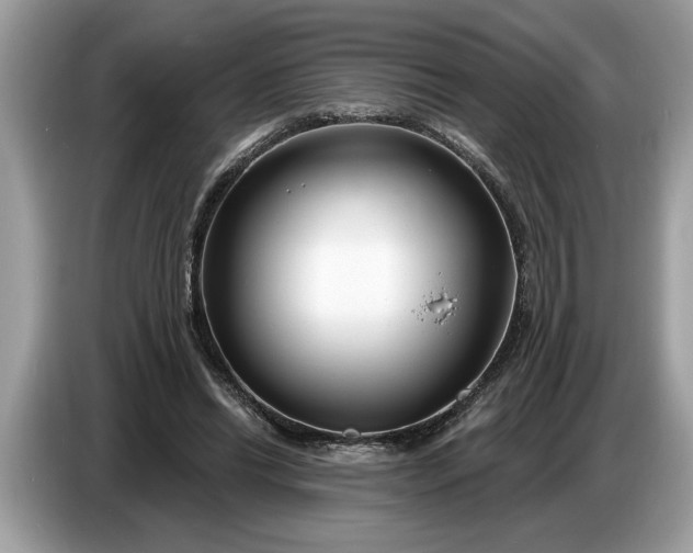 X0000086730446200704271634