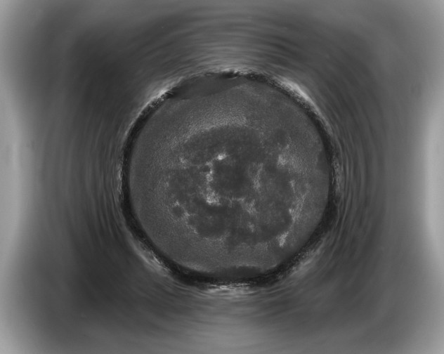 X0000086730447200704271634