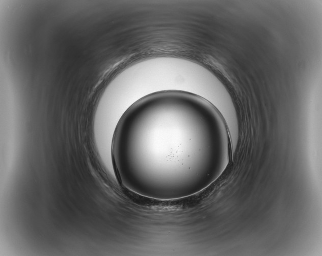 X0000086730448200704271634