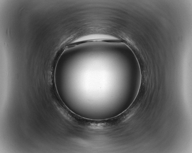 X0000086730450200704271634