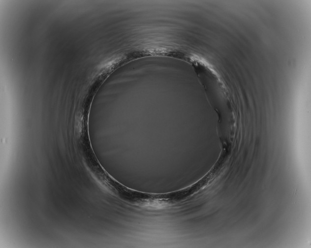 X0000086730451200704271634