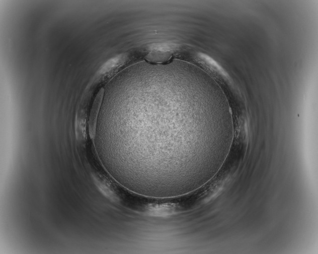 X0000086730452200704271634