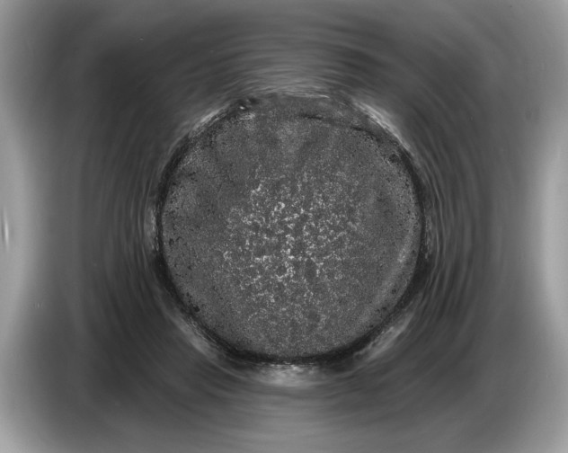 X0000086730453200704271634