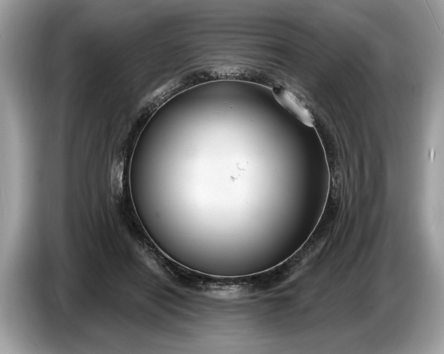 X0000086730454200704271634