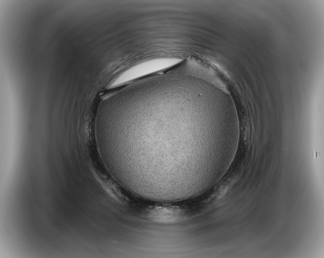 X0000086730455200704271634