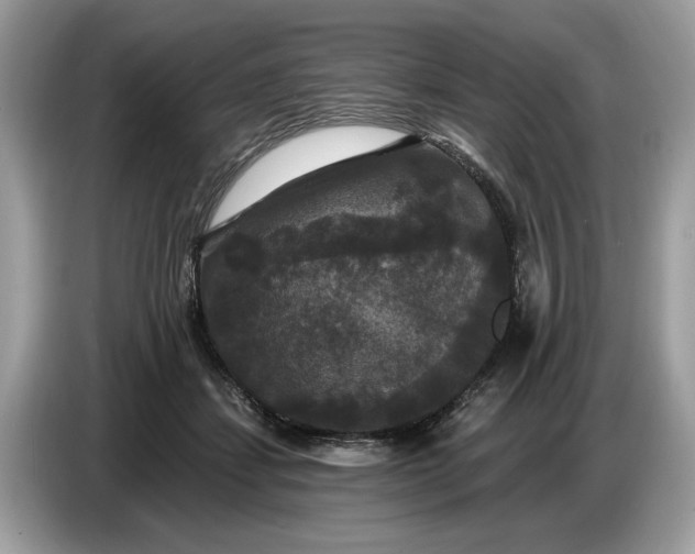 X0000086730459200704271634