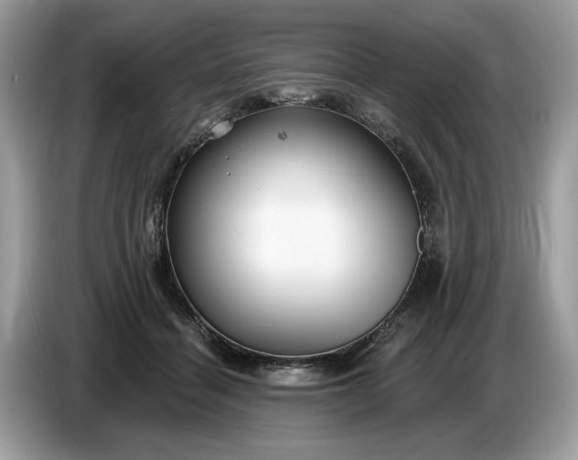 X0000086730460200704271634