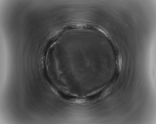 X0000086730462200704271634