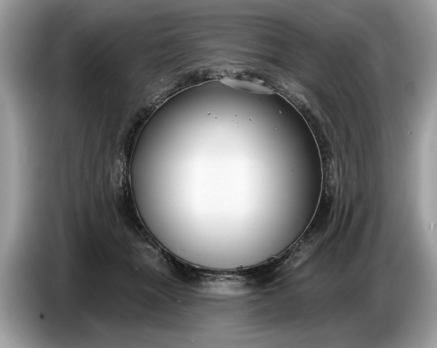 X0000086730463200704271634