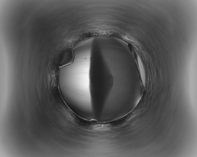 X0000086730465200704271634