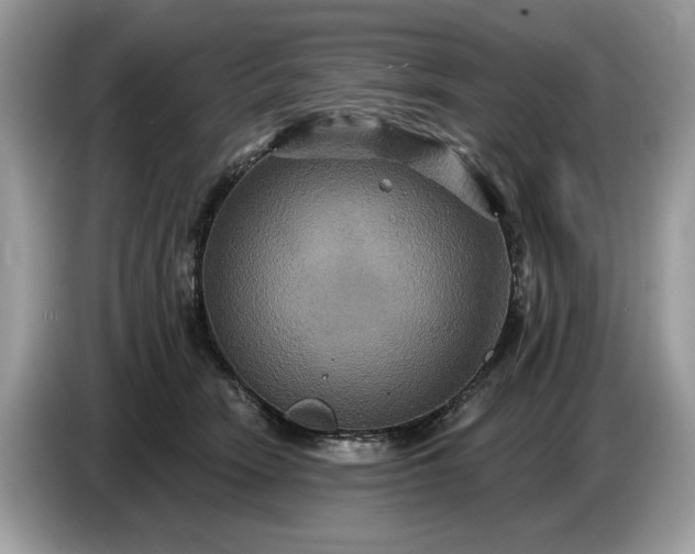 X0000086730466200704271634