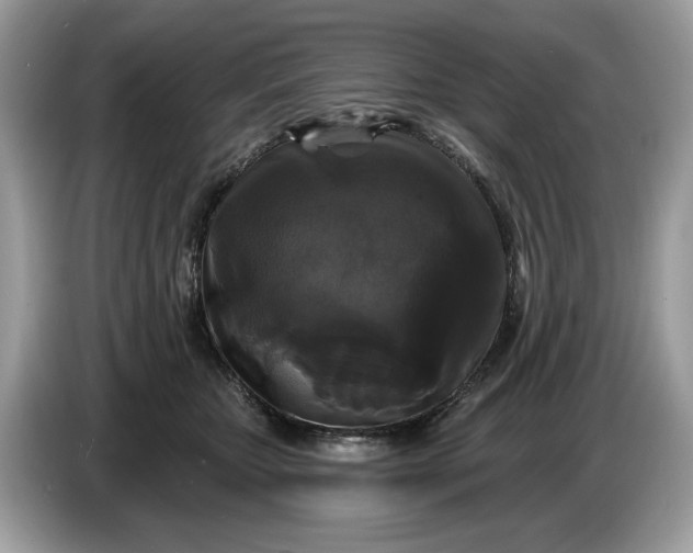 X0000086730467200704271634