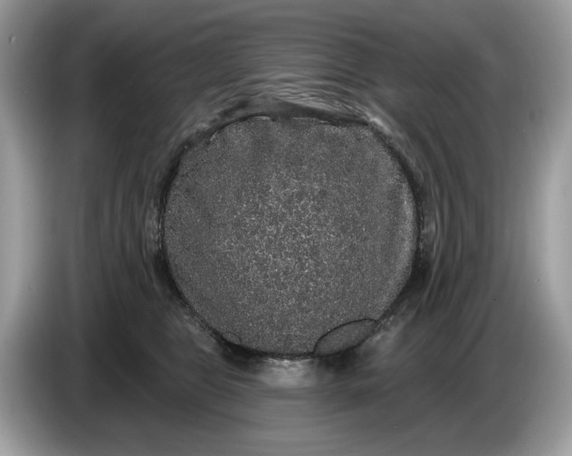 X0000086730469200704271634