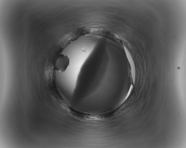 X0000086730475200704271634