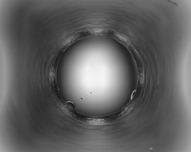 X0000086730476200704271634