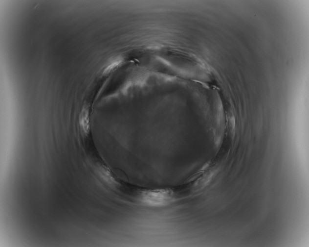 X0000086730479200704271634