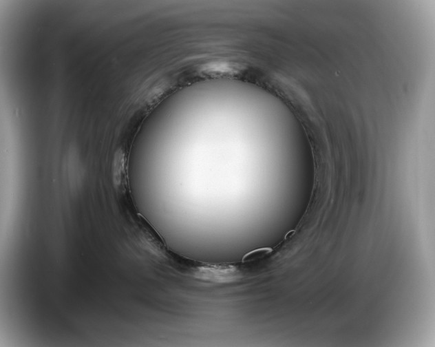 X0000086730480200704271634