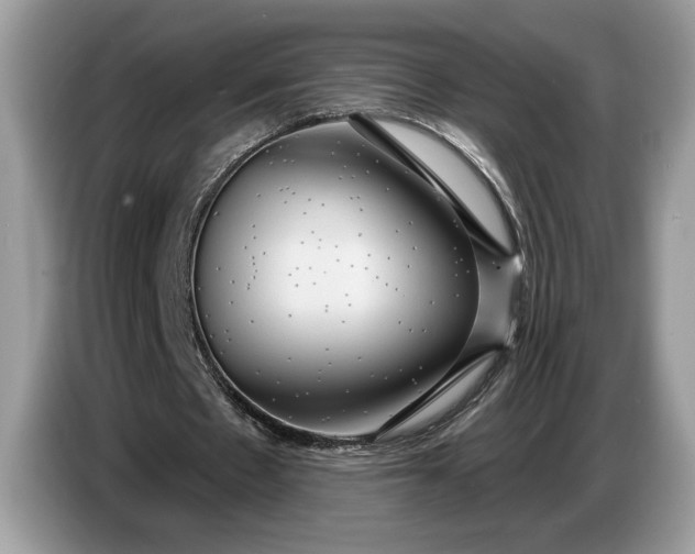 X0000086730481200704271633