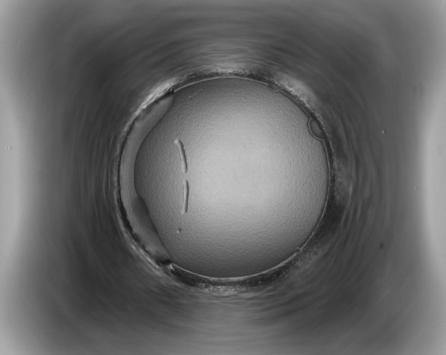 X0000086730482200704271633