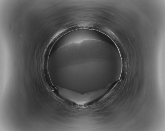 X0000086730484200704271633