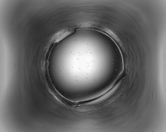 X0000086730485200704271633