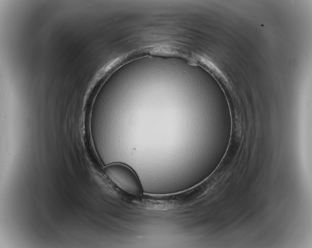 X0000086730486200704271633