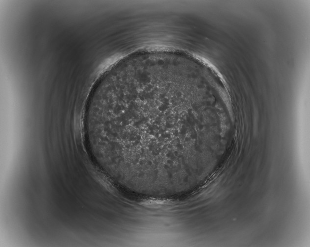 X0000086730487200704271633