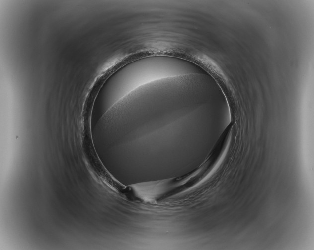 X0000086730488200704271633