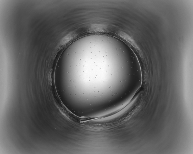 X0000086730489200704271633