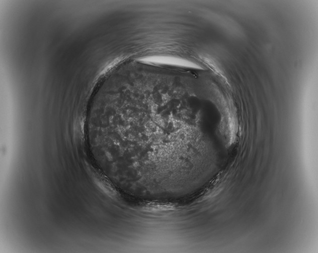 X0000086730491200704271633